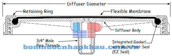 Kích thước đĩa