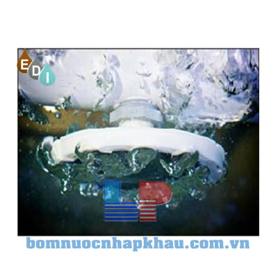 Hình ảnh đĩa phân phối khí PermaCap Medium