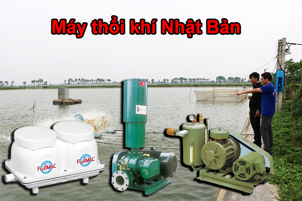 3 hãng máy thổi khí Nhật Bản tốt nhất hiện nay 2023