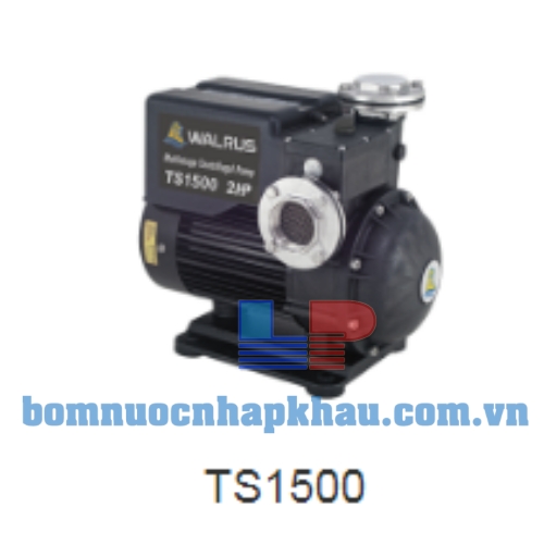 Máy bơm dân dụng đẩy cao Walrus TS-1500