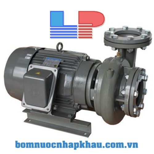 Máy bơm li tâm trục ngang - 2P đầu gang Evergush CP-2.37 Máy bơm li tâm trục ngang - 2P đầu gang Evergush CP-2.37