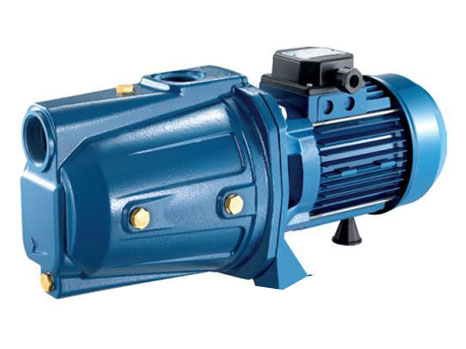 Máy Bơm Ly Tâm Dân Dụng Đầu Gang Pentax CAMT 100N (1HP)