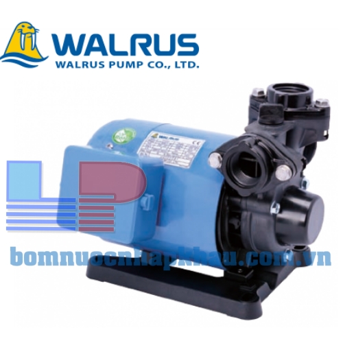 Máy bơm nước bánh răng đẩy cao Walrus TP325-1HP Máy bơm nước bánh răng đẩy cao Walrus TP325-1HP