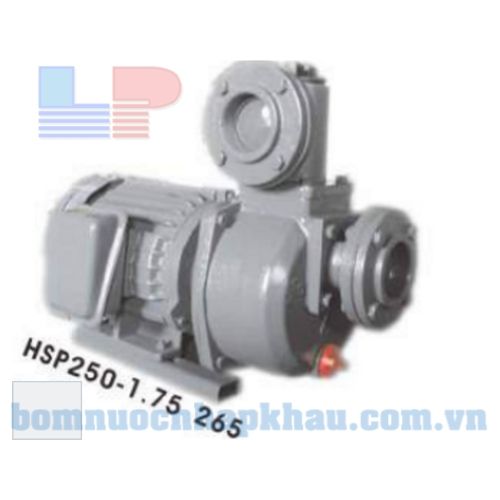 Máy bơm nước tự hút đầu gang NTP HSP250-1.75 265