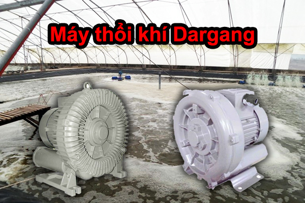 Máy thổi khí Dargang: Bảng giá mới nhất 2023